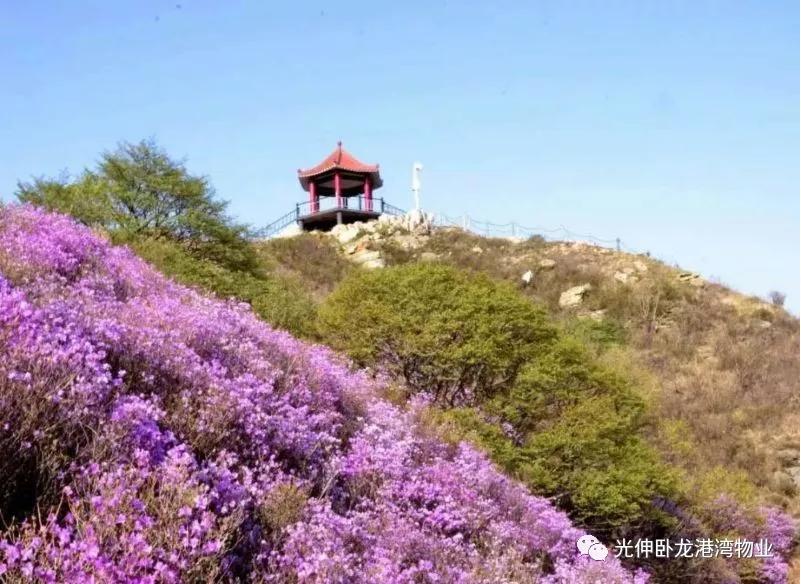 首页- 腾博官网诚信为本,专业服务!